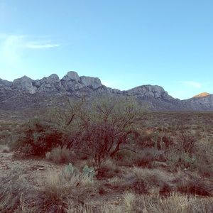 Meet your Posher, Aisha